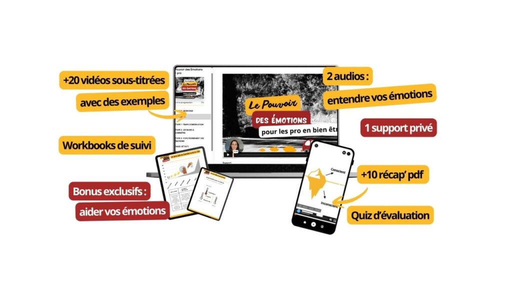 Formation en ligne en gestion des émotions pour les thérapeutes