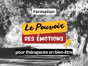 Formation le pouvoir des émotions édition spéciale pro en bien être : kinésiologue, hypnothérapeute, thetahealing, sophrologue