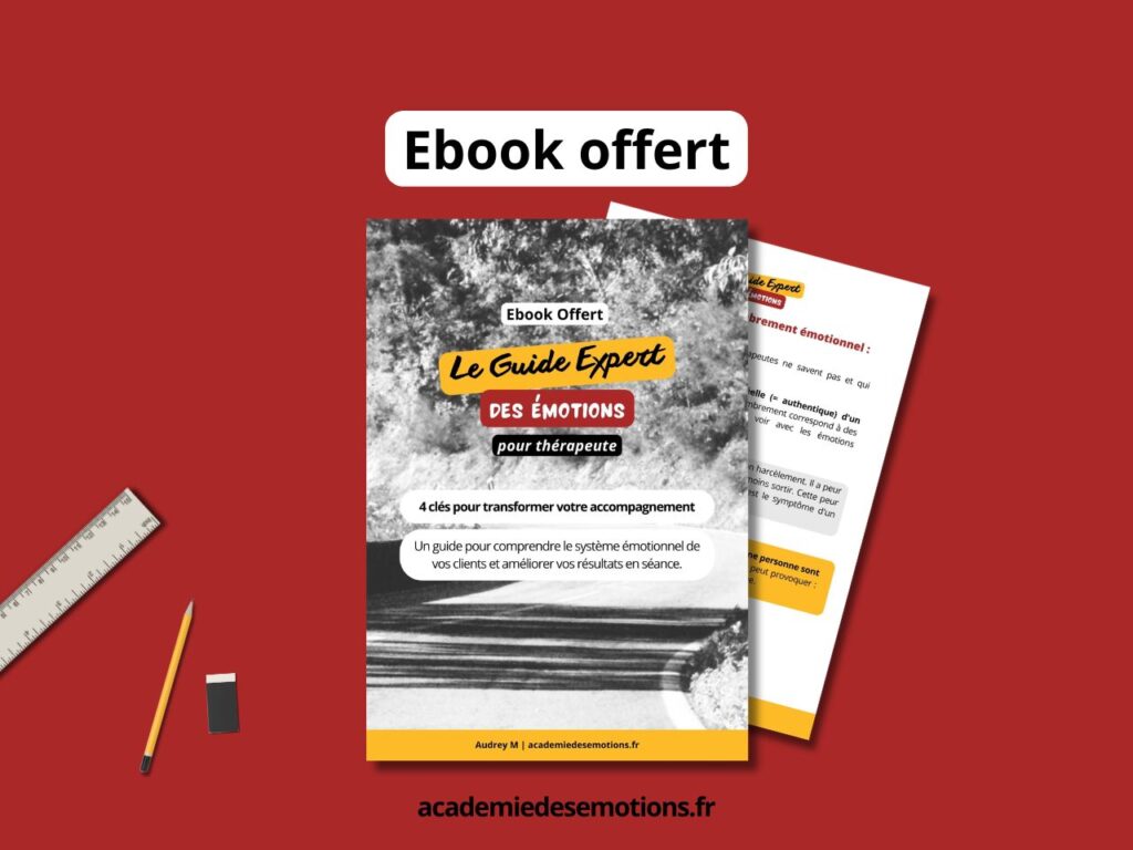 Guide Expert des émotions pour thérapeute (4) Guide Expert des émotions pour thérapeute (4)
